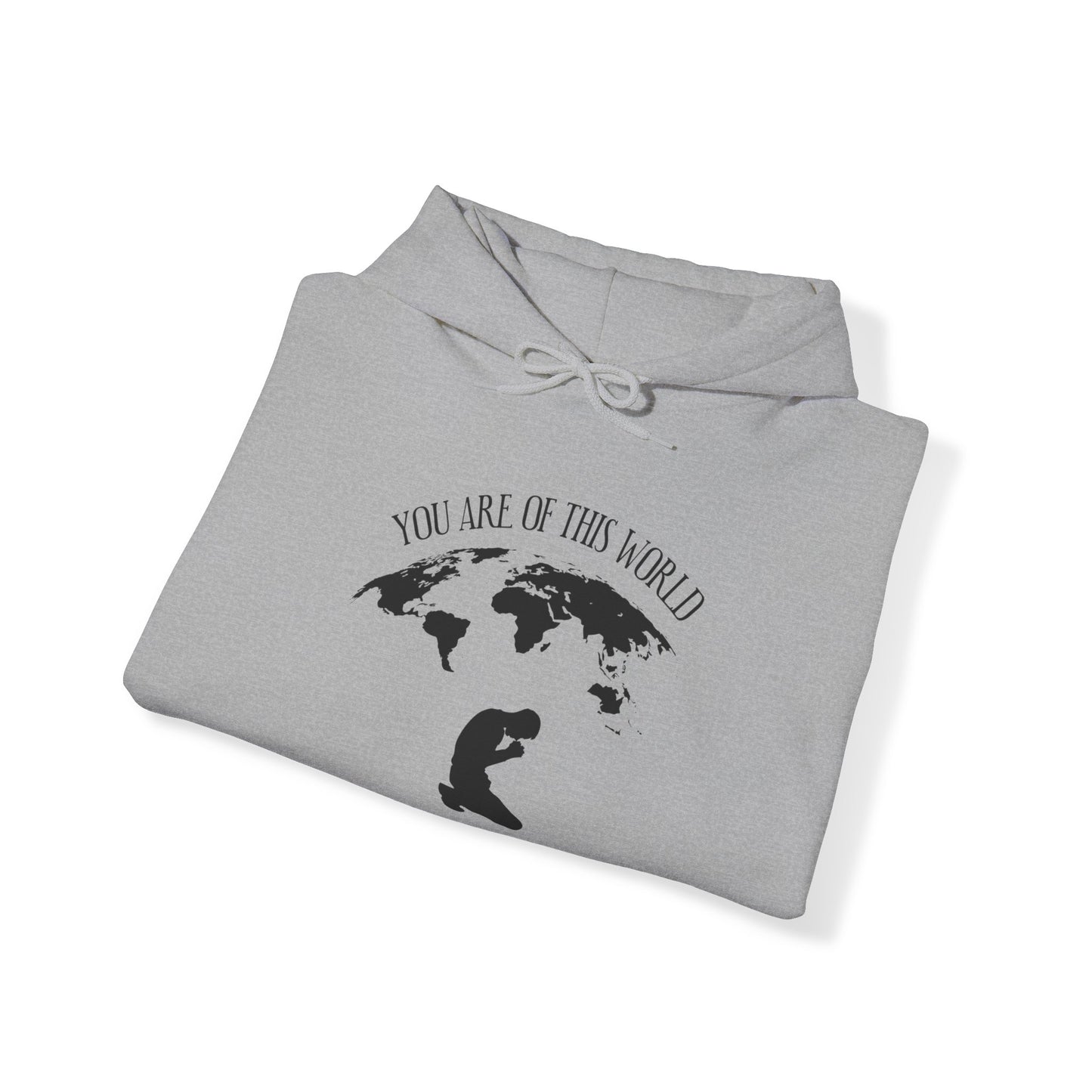 We Are Not of This World BUT In It - Unisex Heavy Blend Hooded Sweatshirt