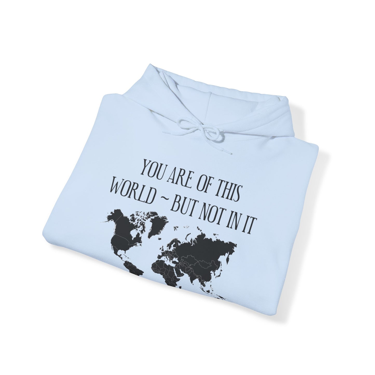 You Are Not of This World BUT In it - Unisex Heavy Blend Hooded Sweatshirt