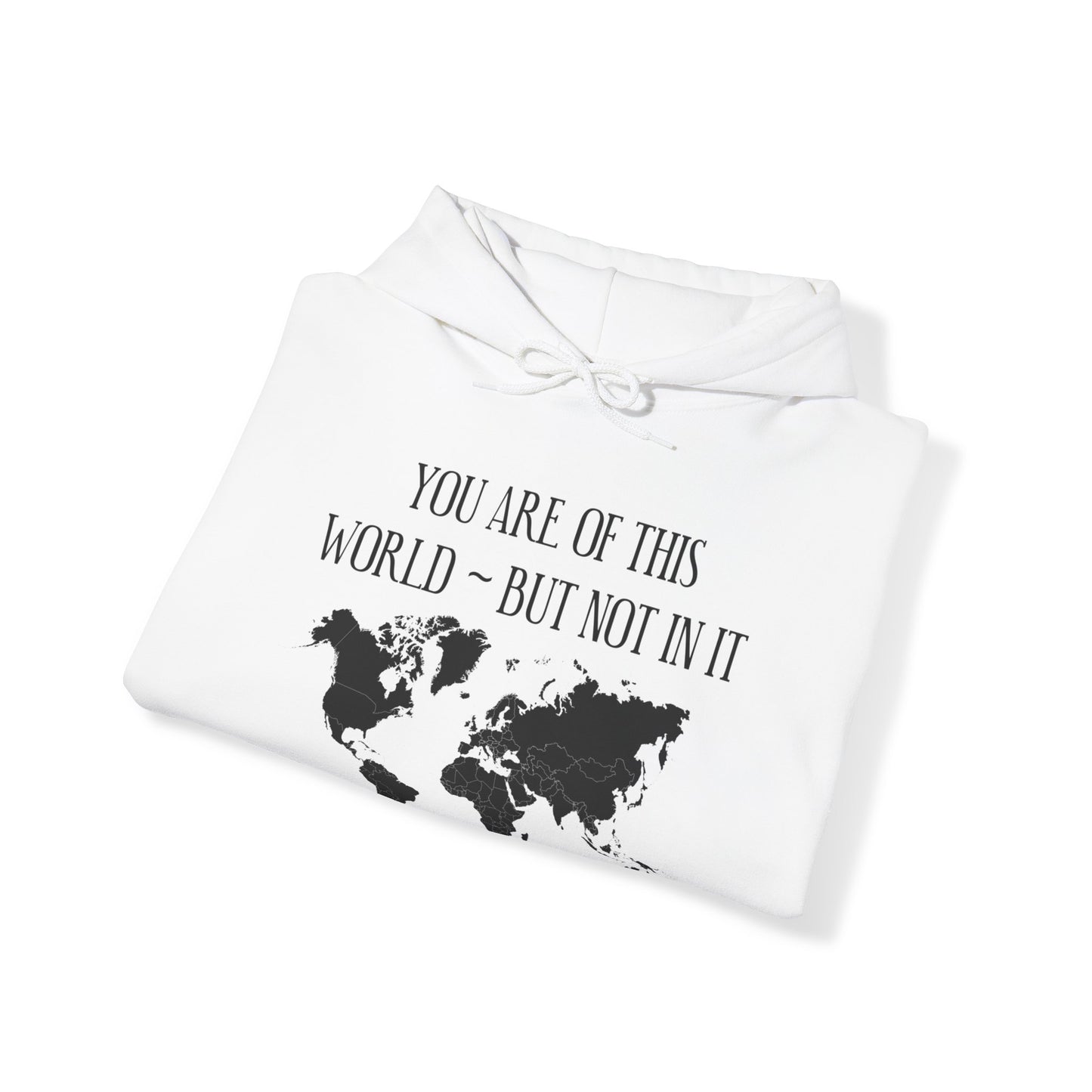 You Are Not of This World BUT In it - Unisex Heavy Blend Hooded Sweatshirt