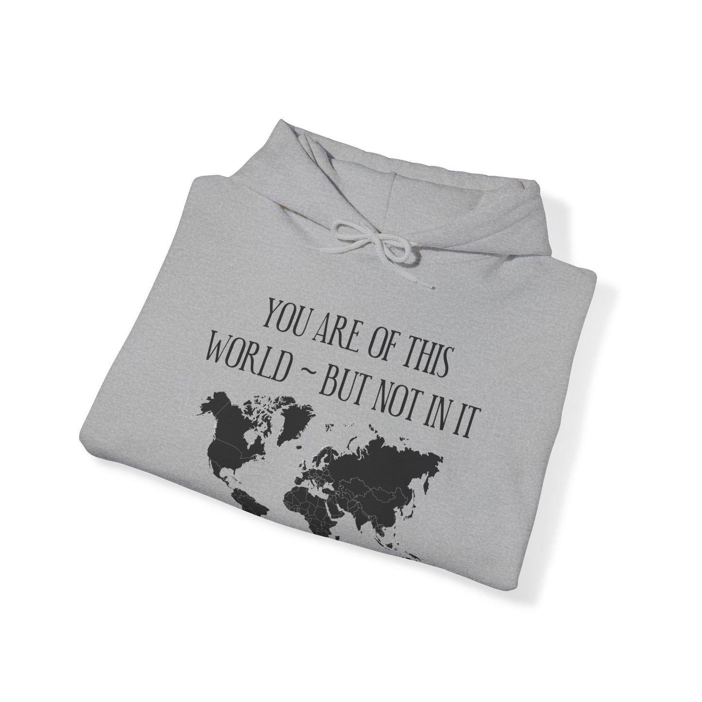 You Are Not of This World BUT In it - Unisex Heavy Blend Hooded Sweatshirt