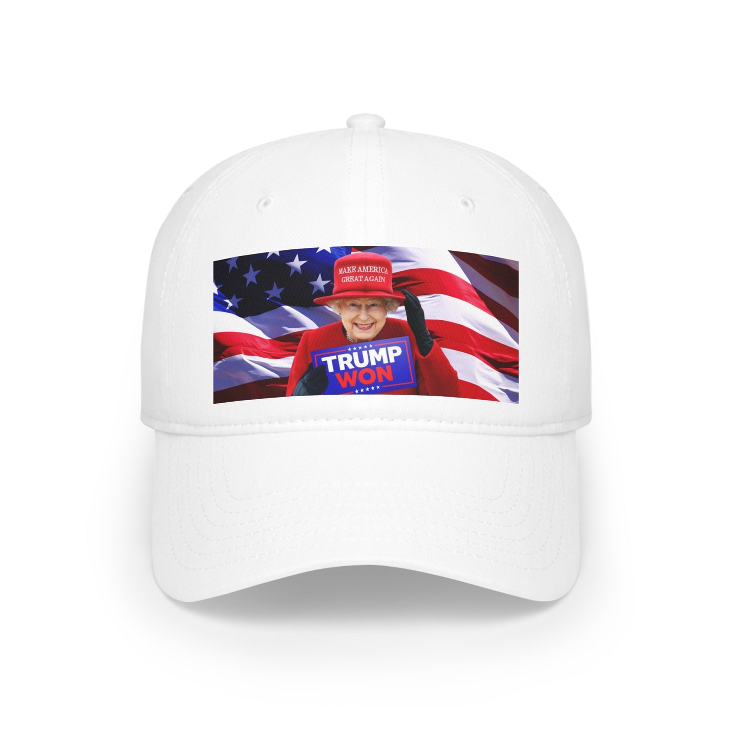 Trump Won Low Profile Baseball Cap