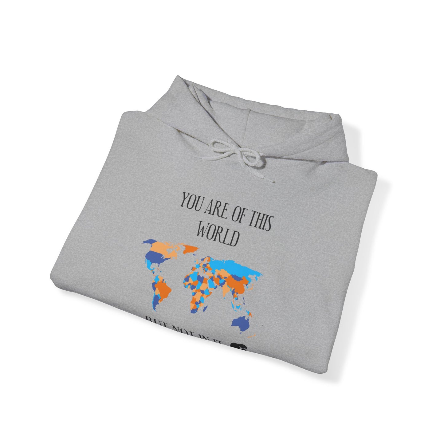 You Are Of This World BUT Not In It - Unisex Heavy Blend Hooded Sweatshirt