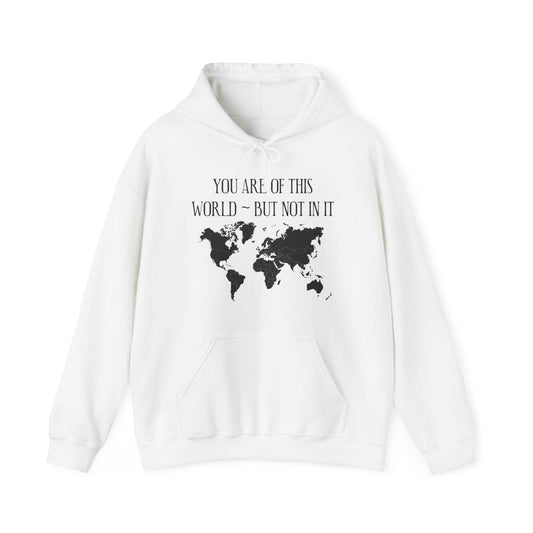 You Are Not of This World BUT In it - Unisex Heavy Blend Hooded Sweatshirt