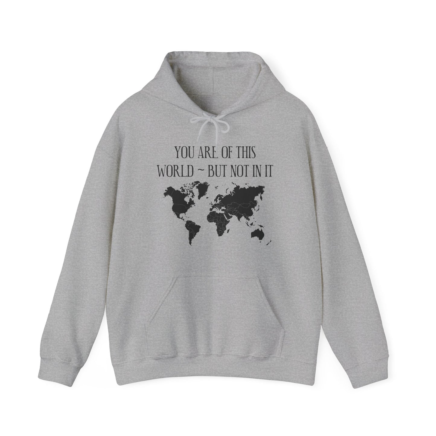 You Are Not of This World BUT In it - Unisex Heavy Blend Hooded Sweatshirt