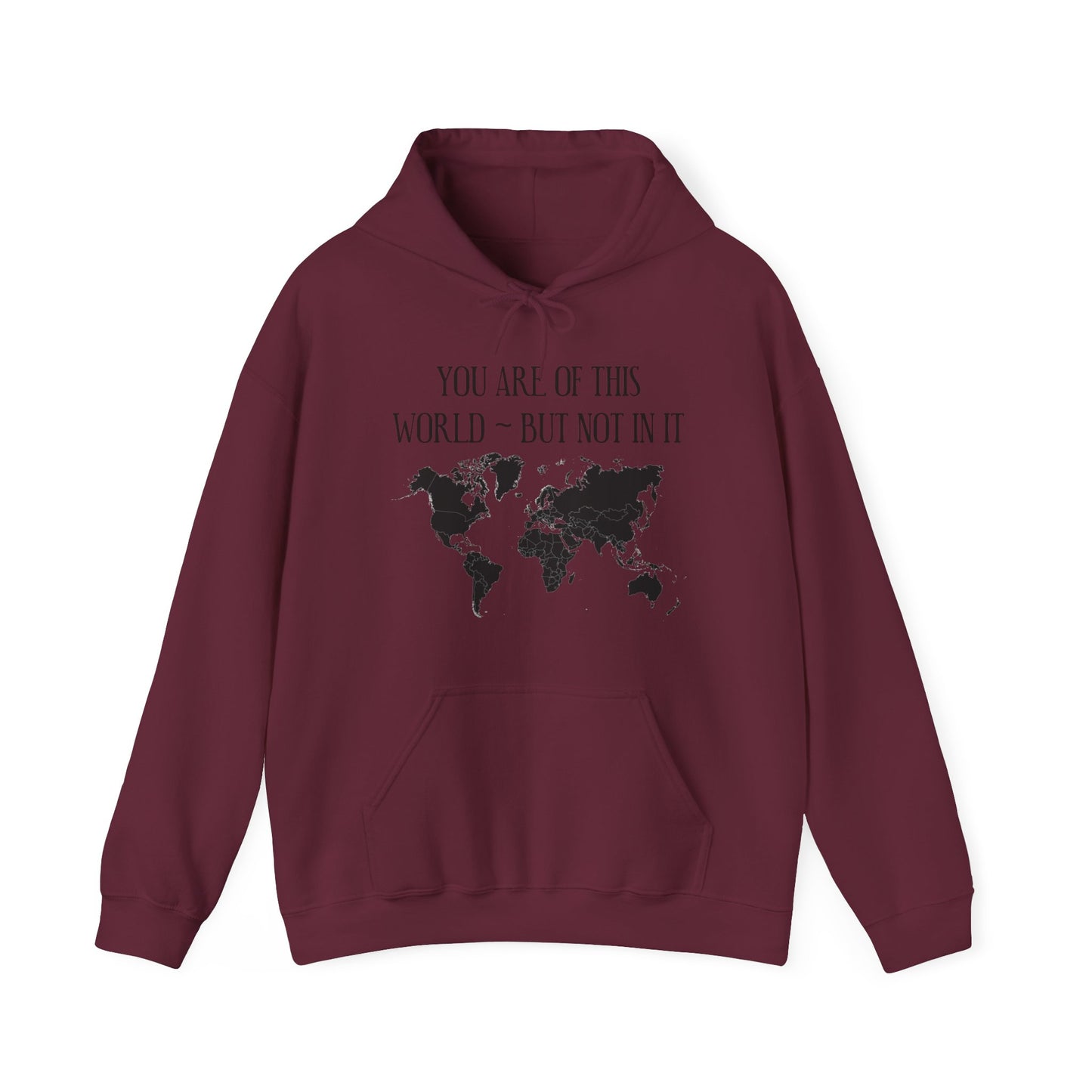 You Are Not of This World BUT In it - Unisex Heavy Blend Hooded Sweatshirt