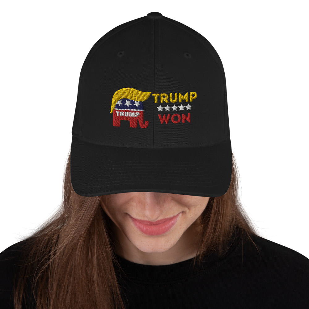 Trump Won Structured Twill Cap (BibleClothes on Back)