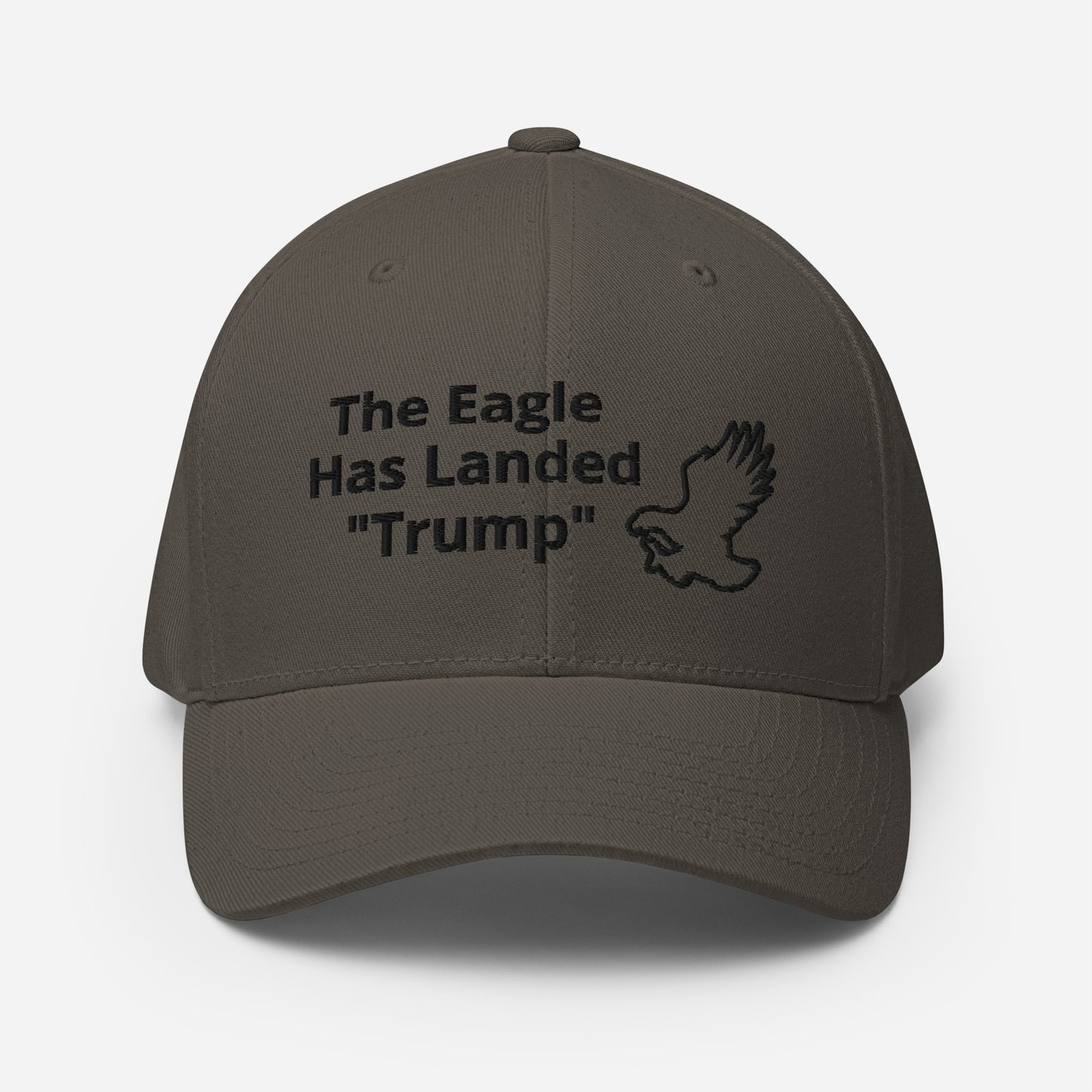 The Eagle Has Landed 45 - Structured Twill Cap - Prophecies 2022  / FREE SHIPPING USA