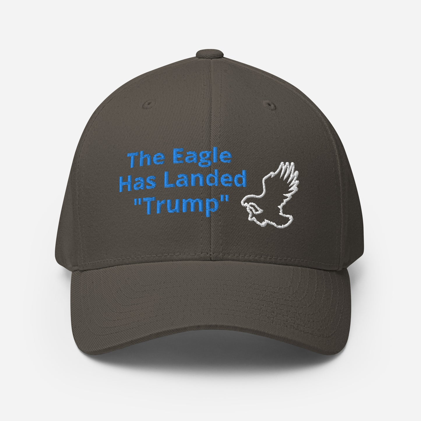 The Eagle Has Landed 45 - Structured Twill Cap - Prophecies 2022  / FREE SHIPPING USA